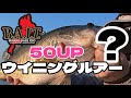 琵琶湖バス釣り BAITウイニングルアーを使ったら50アップが釣れた #琵琶湖バス釣り #kid #高比重ワーム