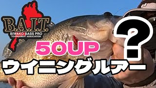 琵琶湖バス釣り BAITウイニングルアーを使ったら50アップが釣れた #琵琶湖バス釣り #kid #高比重ワーム