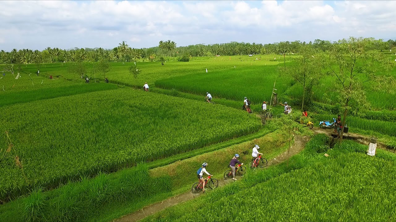 Electric Bike Tour in Ubud, Bali YouTube