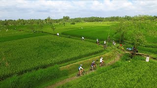 Electric Bike Tour in Ubud, Bali screenshot 3