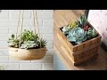 16 ideias para decorar com plantas, cactos e suculentas - Só ideias legais