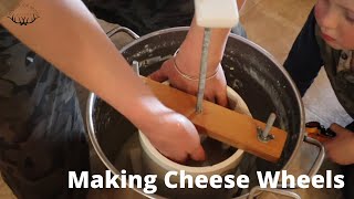 How We Make a Wheel of Alpine Cheese  Natural Cheesemaking {VIDEO}