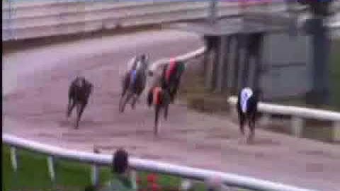 IGB - Sales Meeting @ Kilkenny Track A4  Final 01/06/2018 Race 5 - Kilkenny