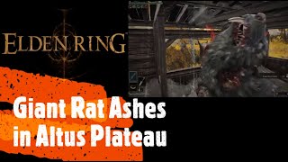 Famous Elden Ring [Giant Rat Ashes in Altus Plateau] Net Worth