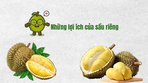 Những lợi ích bất ngờ của sầu riêng | Báo Lao Động