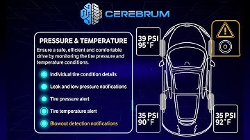 Cerebrum Sensor - How it works