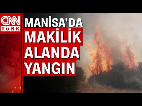 Manisa'nın Kula ilçesinde korkutan orman yangını