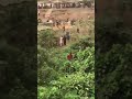 Fulani/Hausa Vs Yoruba Crisis. Pandemonium in Sasha Area of Ibadan
