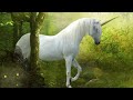 Capture de la vidéo Forest Of The Unicorns - Zero-Project @Sya228