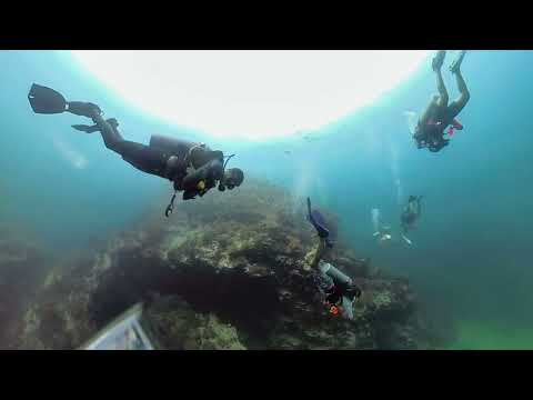 Scuba Diving at White Rock, Koh Tao, Thailand 04 2023