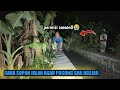 Disawer 8juta live di saung 1 saung 2 lokasi legendaris sampai turun X500 dari Romi Prasetio