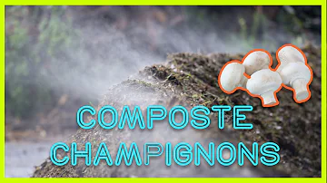 Comment faire substrat champignon ?