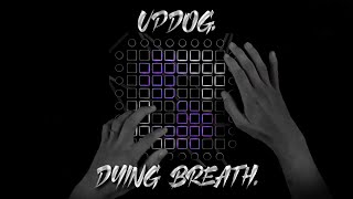 updog - dying breath || Launchpad Performance W/ Acrea