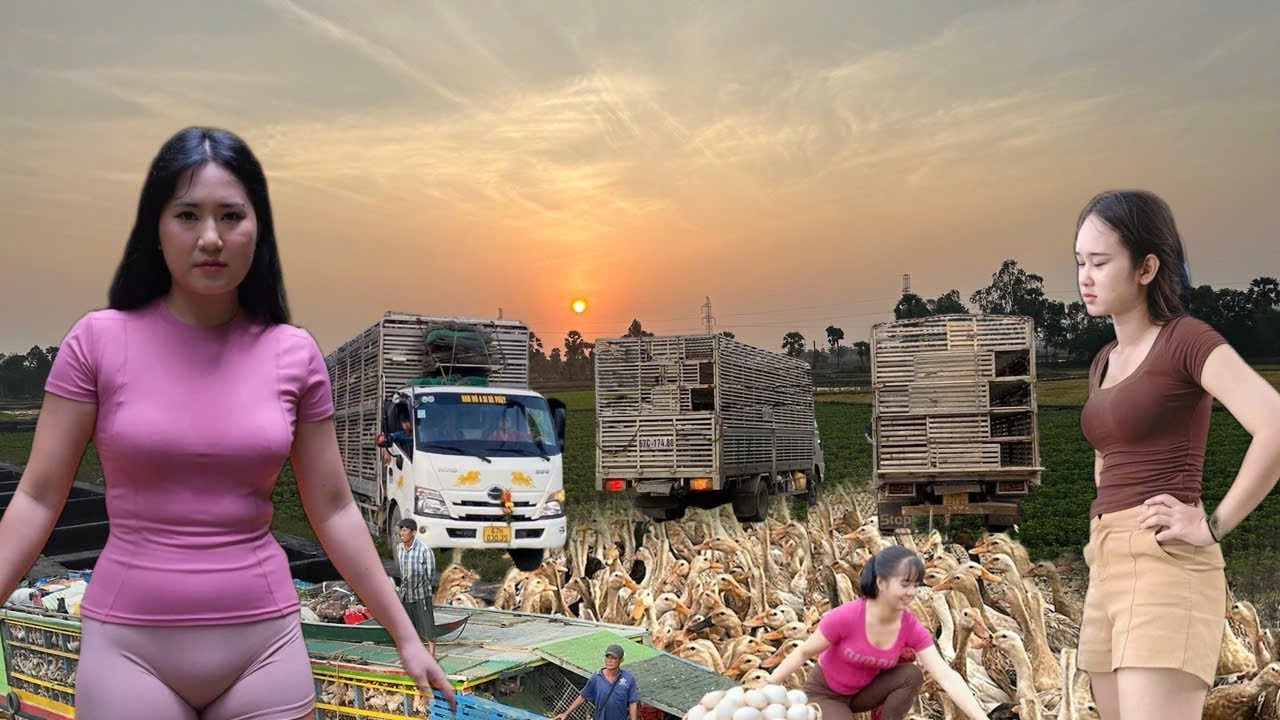 Giant trucks travel across the sea at dawn, just as people are waking up.