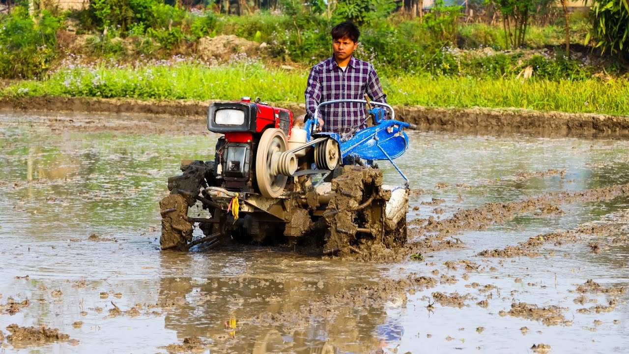 Power Tiller Working | Mud Paddy Field With Rotavator - YouTube