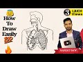 How to draw respiratory system step by step for beginners