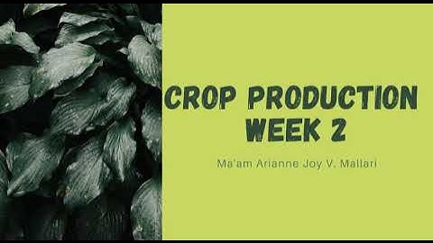 TLE 7/8 - AGRI-CROP PRODUCTION LESSON 2