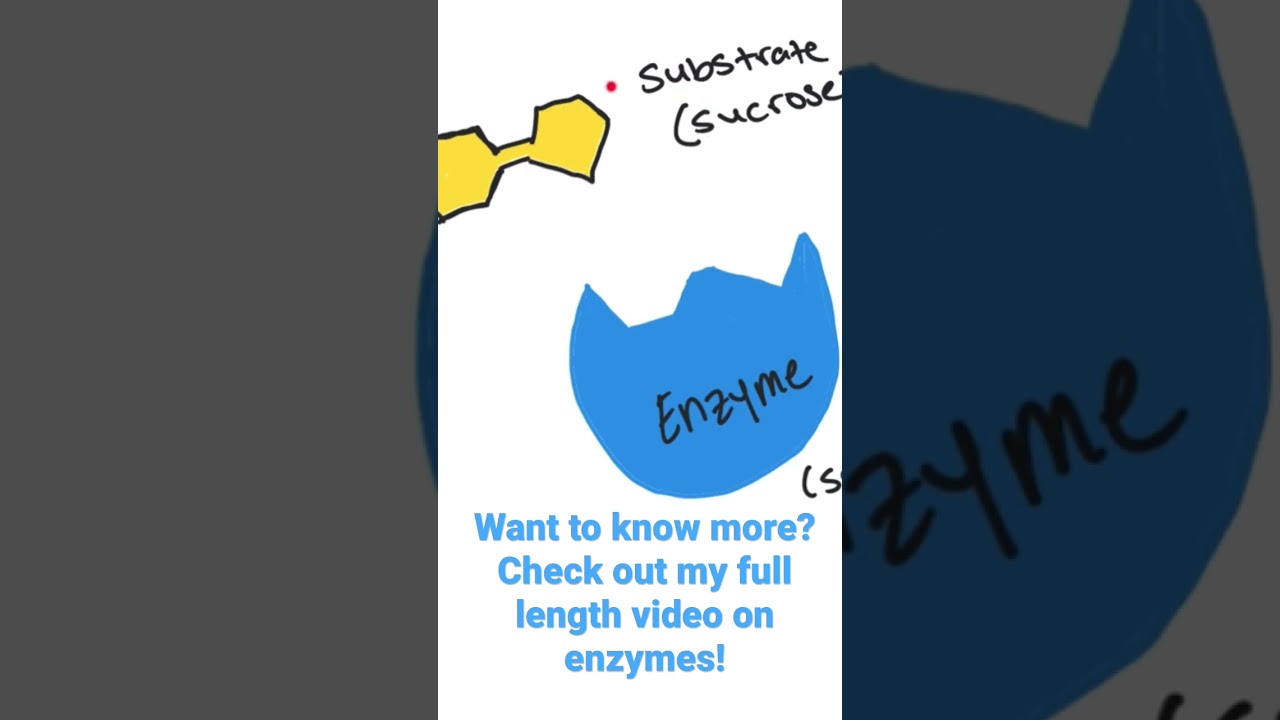 Will this be an anabolic or catabolic reaction?