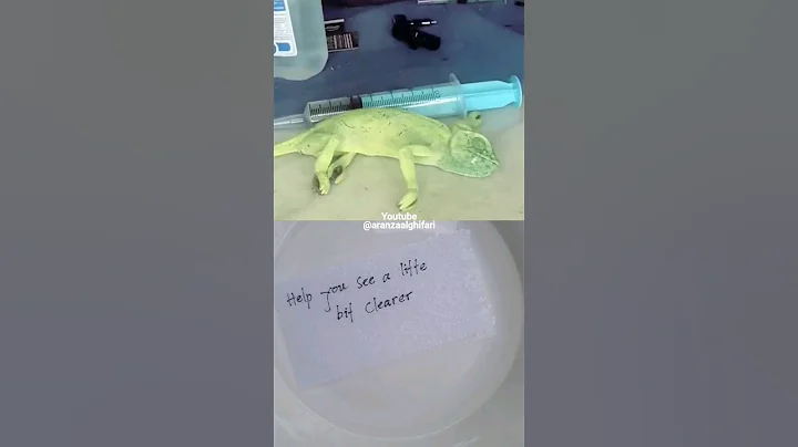 Scars To Your Beautiful #shorts #story #lyrics