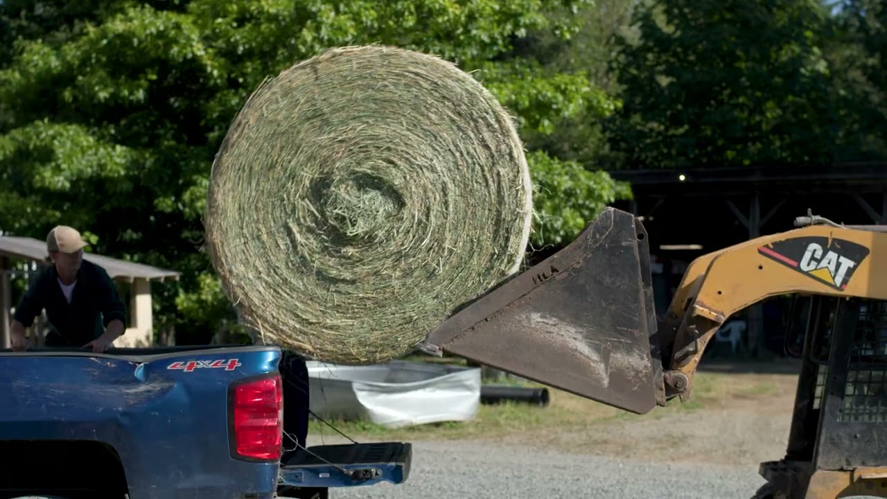 Cow-Calf Sector Recruitment, Retention and Skills Development Joint Project - Heart of the Valley