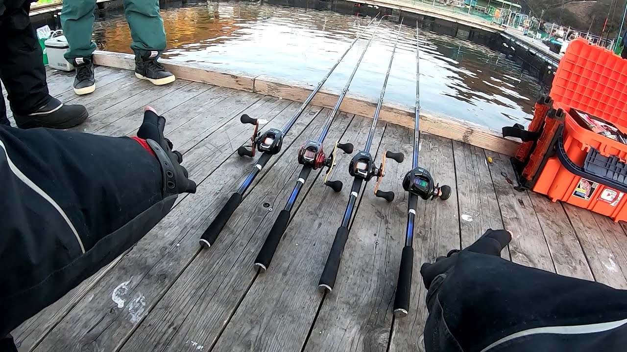 海上釣堀脈釣り竿「即掛」を使いこなすコツとガン玉使いの復習