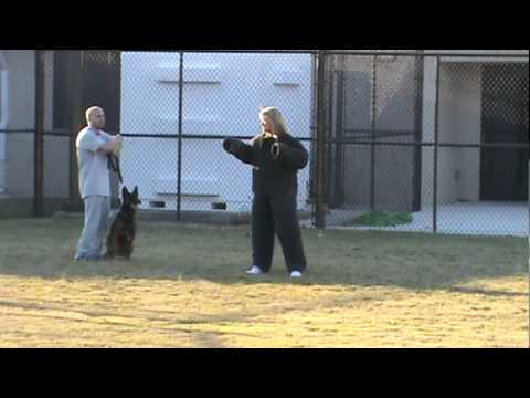 Military Working Dog Decoy Fail