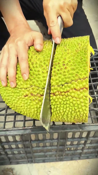 simple trick to split nanhka fruit with a machete #shorts