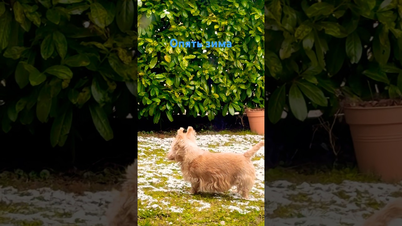 Не обманули 