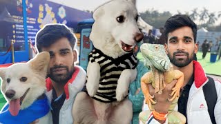 Pet Fed Show In Delhi 2023 || Dog Show In Delhi |  India's Biggest Pet Festival | DakshVlogs