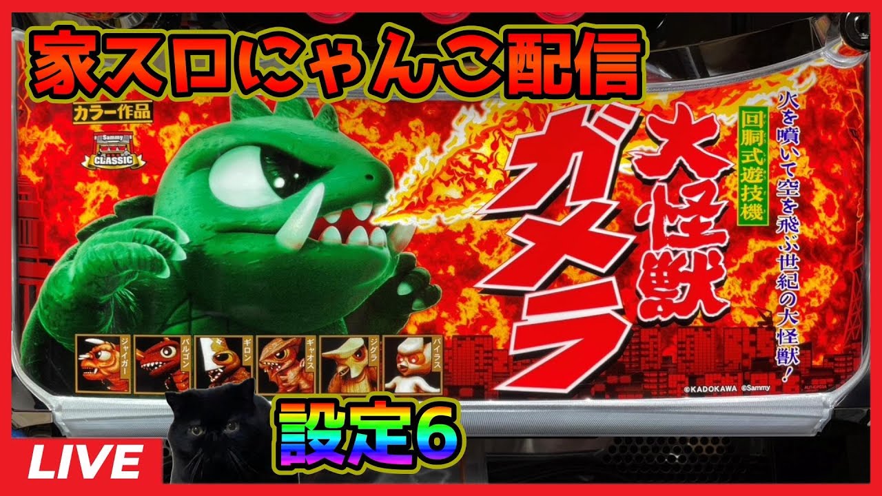 家スロにゃんこ配信】ガメラ2【設定6】 - YouTube