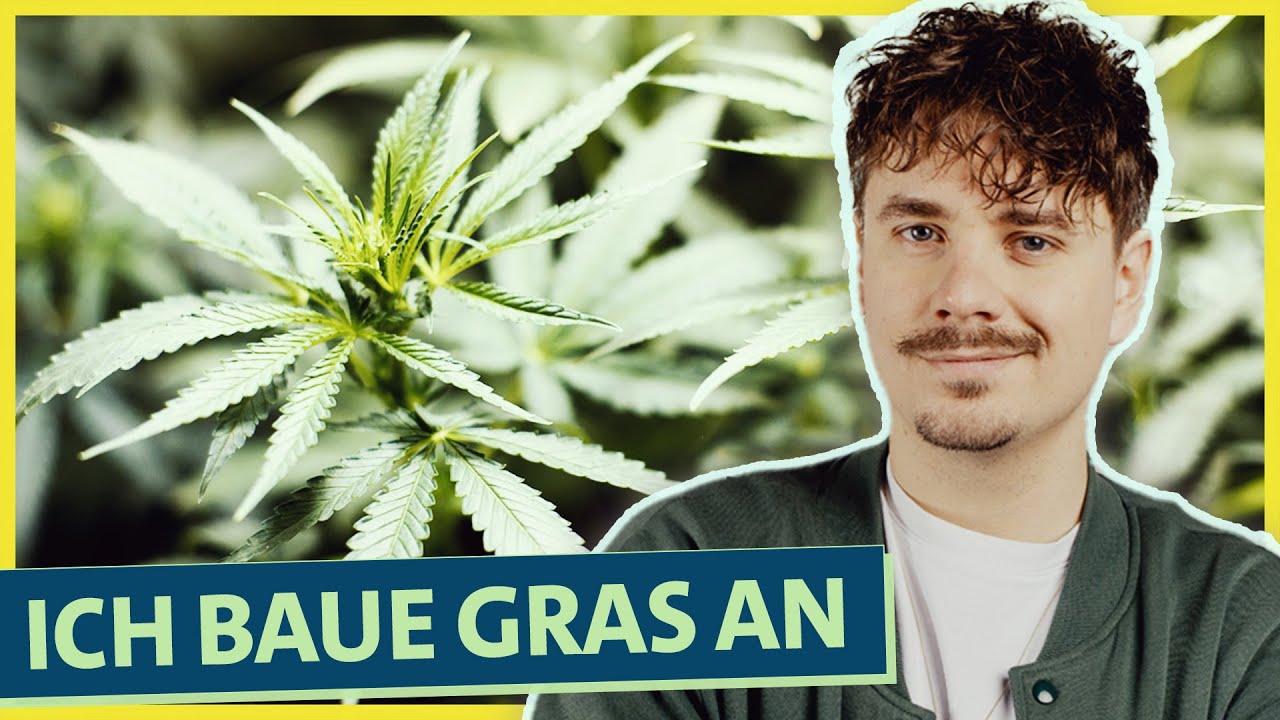 Kiffen ab heute legal! Doch woher könnt ihr JETZT Cannabis bekommen? | Anwalt Christian Solmecke