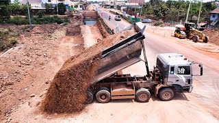 Best Starting New Work!! 25T Dump Trucks Loading Soil And Bulldozer Pushing Filling A Pit by Daily Bulldozer  5,088 views 4 weeks ago 55 minutes