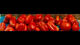 Simple Italian Tomato Sauce -- Salsa di Pomodoro Semplice