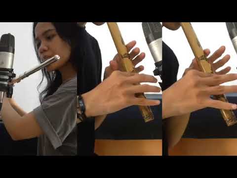 Satellite Of Zapin (Cover)