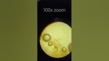 Maggie masal in microscope 😱🔬 #microscope #eggsperiment #science #youtubeshorts #maggi #maggie