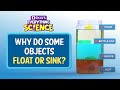 Why do objects float or sink  byjus everything science shorts