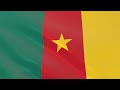 Flag of Cameroon waving in the wind - Flag animation - Motion background - 4K UHD