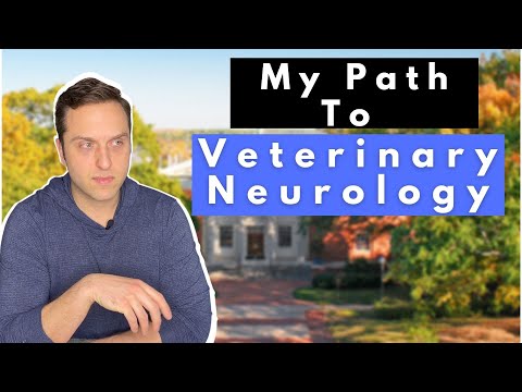 Videó: A Neuro Challenge - Daily Vet