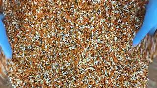 Pumpkin Pie Flavored Sprinkles!