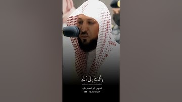 الشيخ ماهر المعيقلي تلاوة مؤثرة                       #قران #اكسبلور #دعاء #العراق