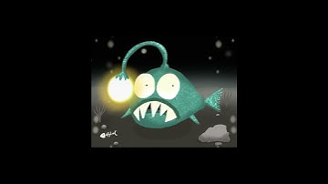 Angler Fish Procreate Dreams Animation