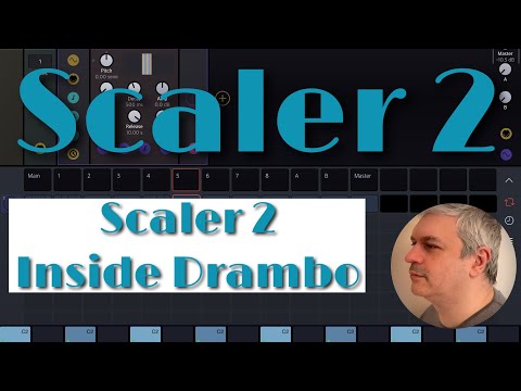 Scaler Plugin Scaler