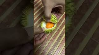 Durian terkecil di kebun 2022