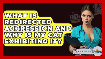 What Is Redirected Aggression And Why Is My Cat Exhibiting It? - Ask A Pet Vet