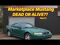 Bought a Dead Mustang: Problems That Never End!