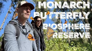 EPIC Monarch Butterfly Adventure: Our JawDropping Day in Michoacan! Top Thing to do in Mexico 4k