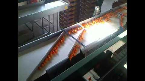 Μηχανήματα Συσκευασίας Εσπεριδοειδών - Citrus Packaging_Novatec