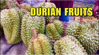 Durian/Durian Fruits,Thailand street food