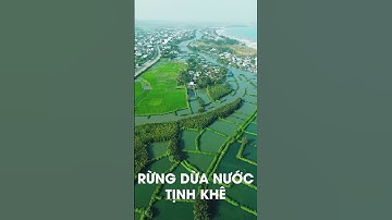 Rừng dừa nước Tịnh Khê Phúc Trịnh