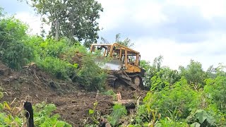 Caterpillar Bulldozers at Work, D6R XL Dozer Pushing Bushes, and Soil Building Plantation P1 by Bulldozer Mountain 4,399 views 3 months ago 19 minutes